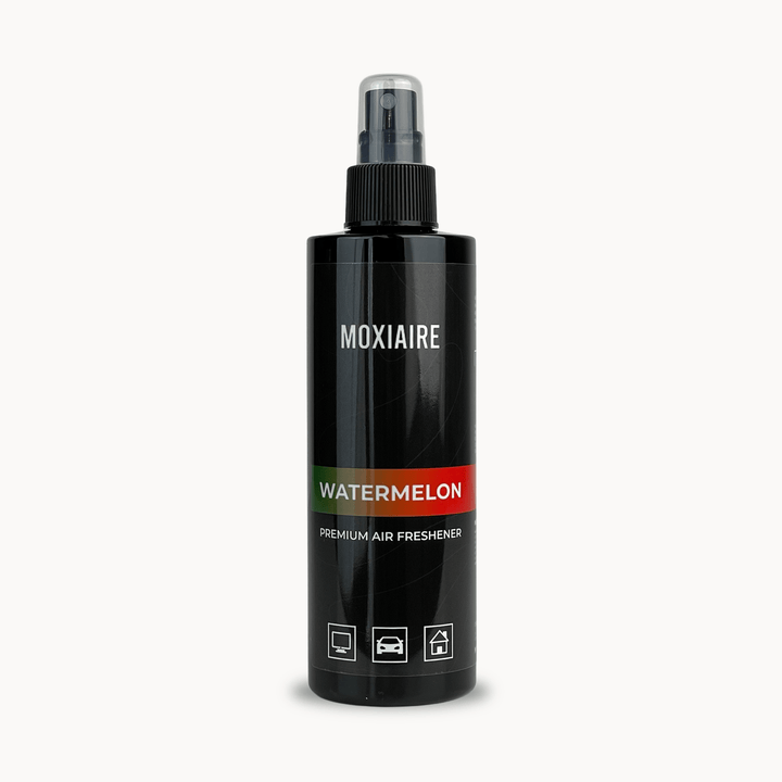 watermelon car air freshener